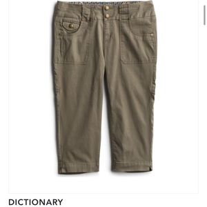 Dictionary Crop Pants from StitchFix